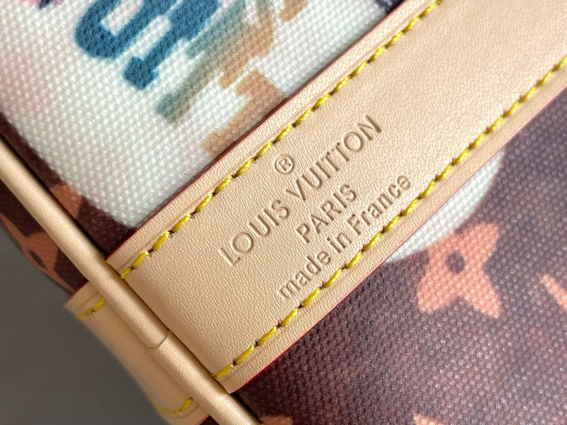 LV Travel Bags